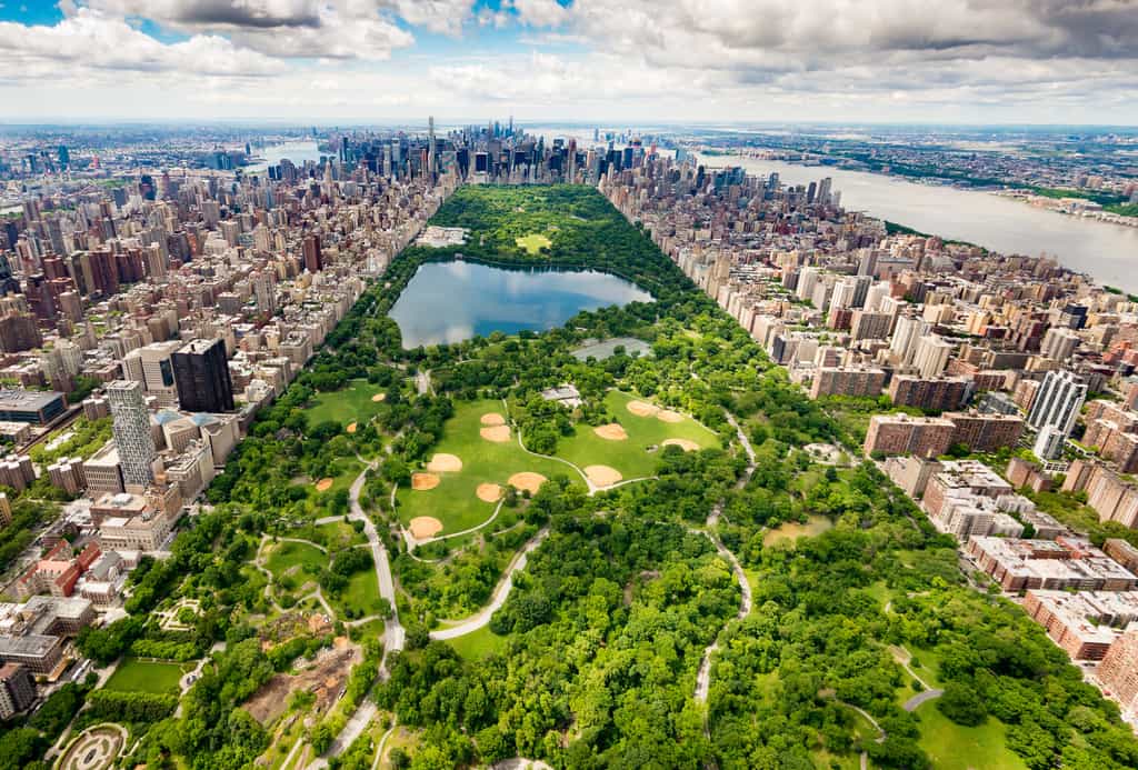 Central Park à New York et ses gratte-ciels à l'horizon. © AntonioLopez, fotolia