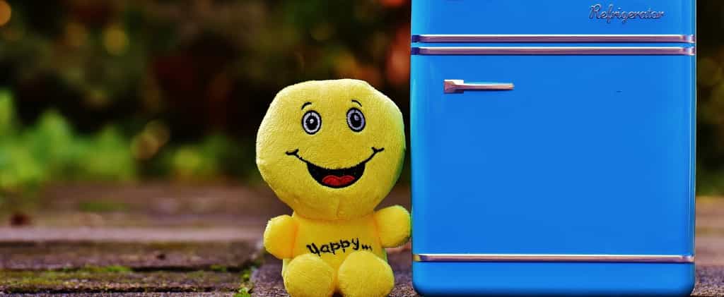 Le lavage du réfrigérateur doit être fait régulièrement, pour des raisons de propreté, d’efficacité et de santé. © Pixabay