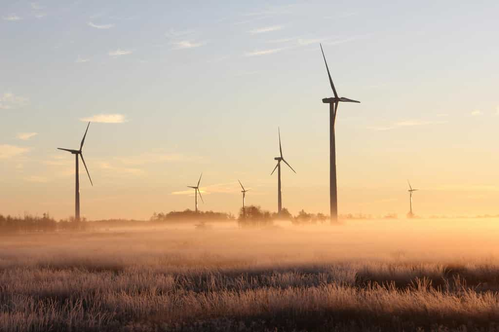 Éolienne domestique : bonne ou mauvaise idée ? Crédit : laura penwell / Pexels