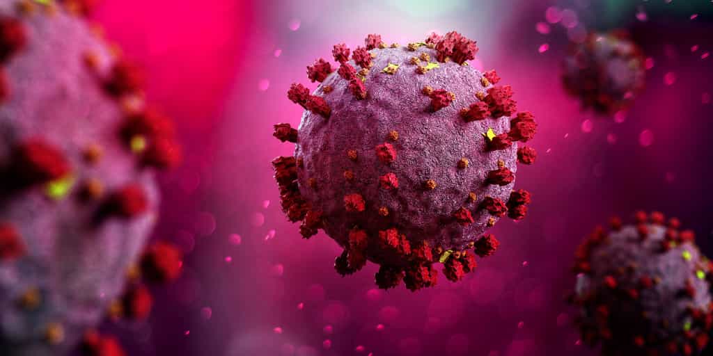 La protéine S recouvre le coronavirus et lui permet d'infecter les cellules humaines. © Production Perig, Adobe Stock