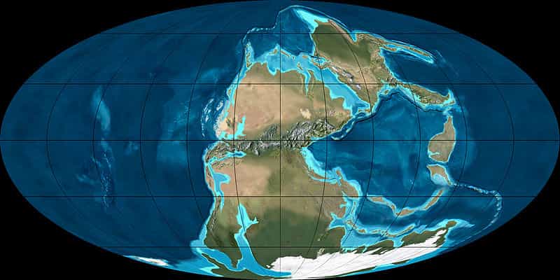 La formation de la Pangée, un supercontinent, s'est achevée durant le Permien supérieur. Cette carte montre la disposition des masses continentales quelques dizaines de millions d'années plus tôt, au Permien inférieur (voici 280 millions d'années). © Ron Blakey, NAU Geology, Wikimedia Commons, cc by sa 3.0