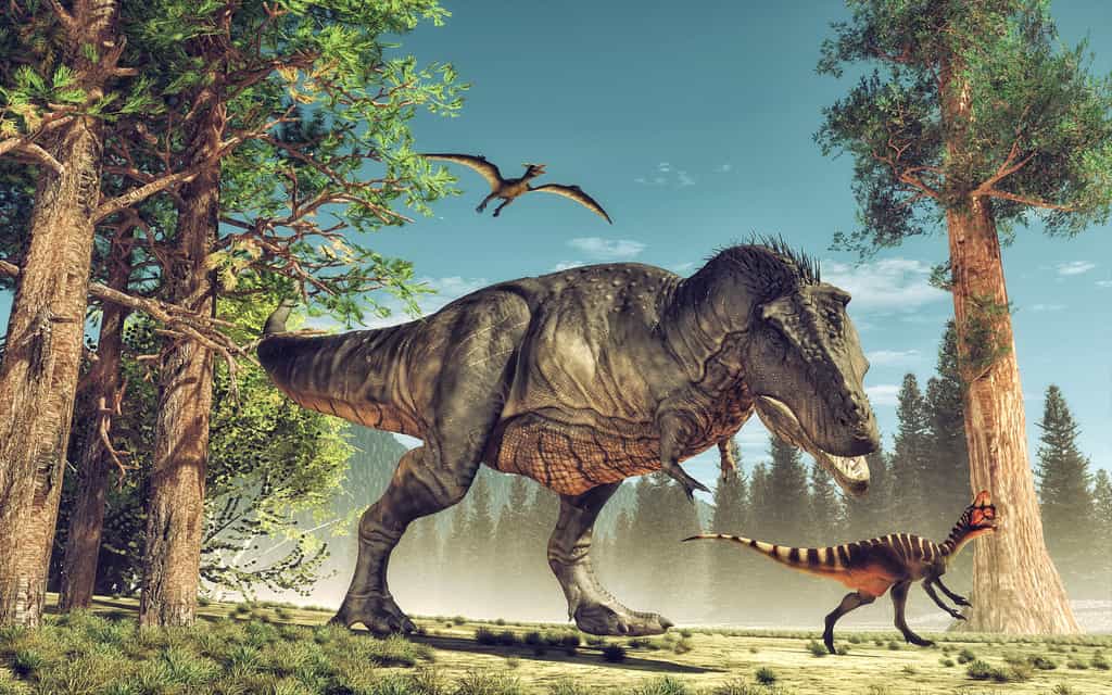 Des dinosaures de toute sorte cohabitent sur la terre de Maple White. © Orlando Florin Rosu, Adobe Stock 