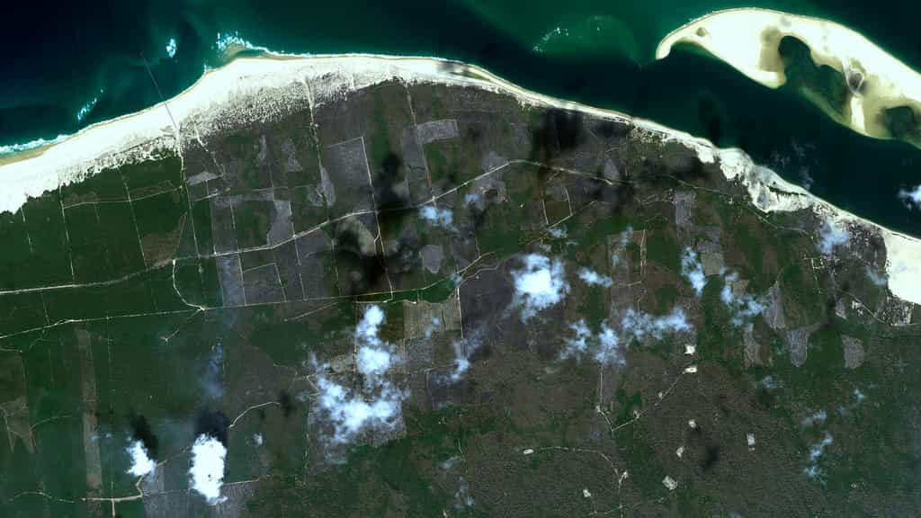 À proximité de&nbsp;la dune du Pilat, l'incendie est contenu et maîtrisé sur cette image satellitaire acquise le 19 juillet par un satellite Pléiades NEO d'Airbus. © Airbus DS 2022