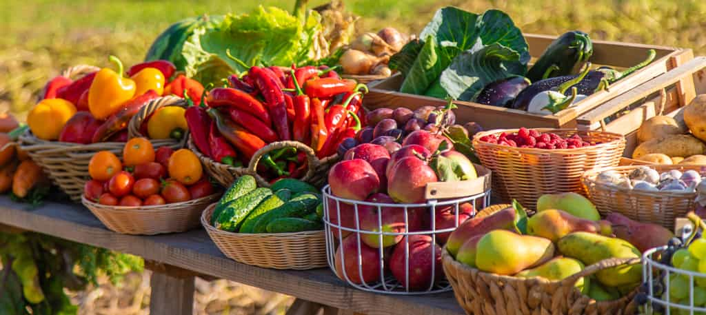 Et chez vous, quels sont les fruits et légumes d'août les plus appréciés ? © yanadjan, Adobe Stock