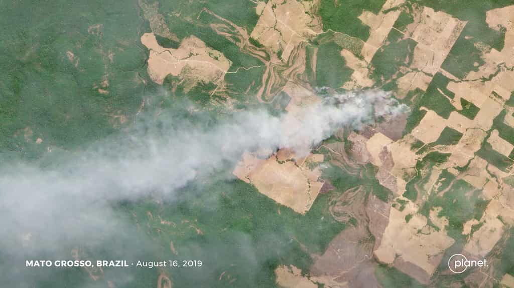Image satellite des feux survenus dans l'État du Mato Grosso au Brésil qui montre clairement les zones détruites par les incendies. Cette image a été acquise par la constellation Planet. D'une résolution de 3,7 mètres, cette image couvre une superficie de 18 par 10 km. © 2019 Planet Labs, Inc.