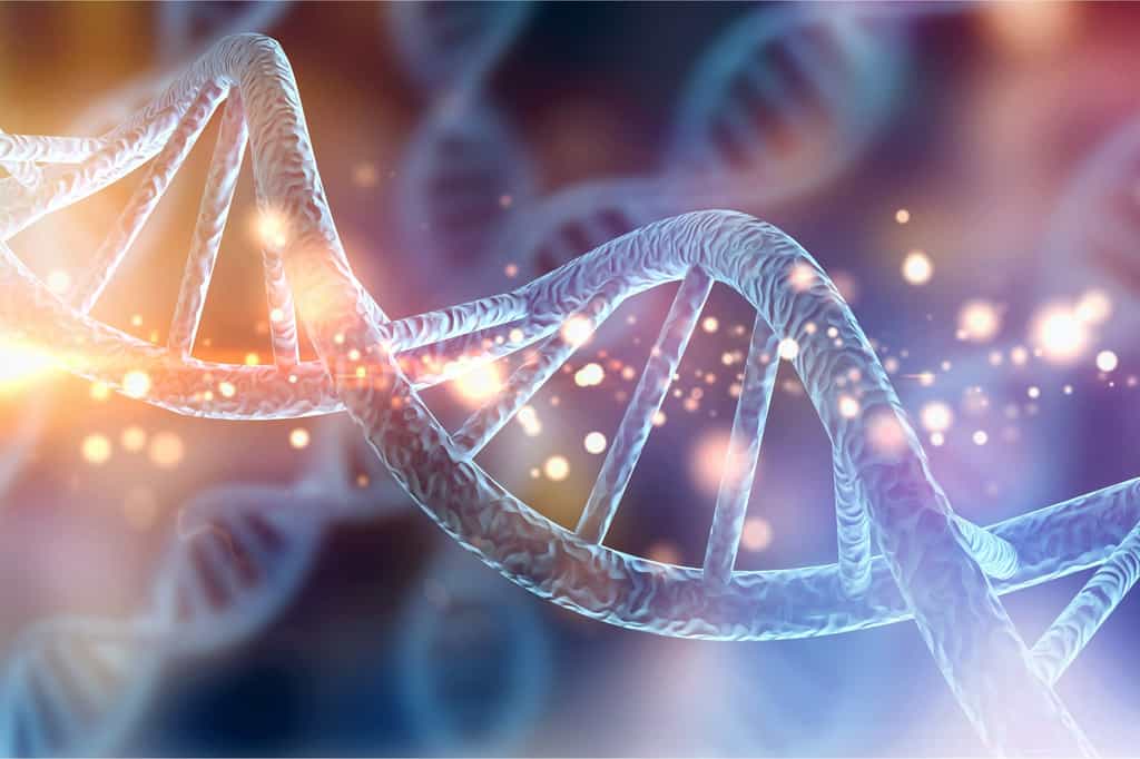 Expert de l’ADN, le généticien étudie le génome des êtres vivants, c’est-à-dire l’ensemble de l’ information génétique contenue dans chacune des cellules sous la forme de chromosomes © MG, Fotolia.