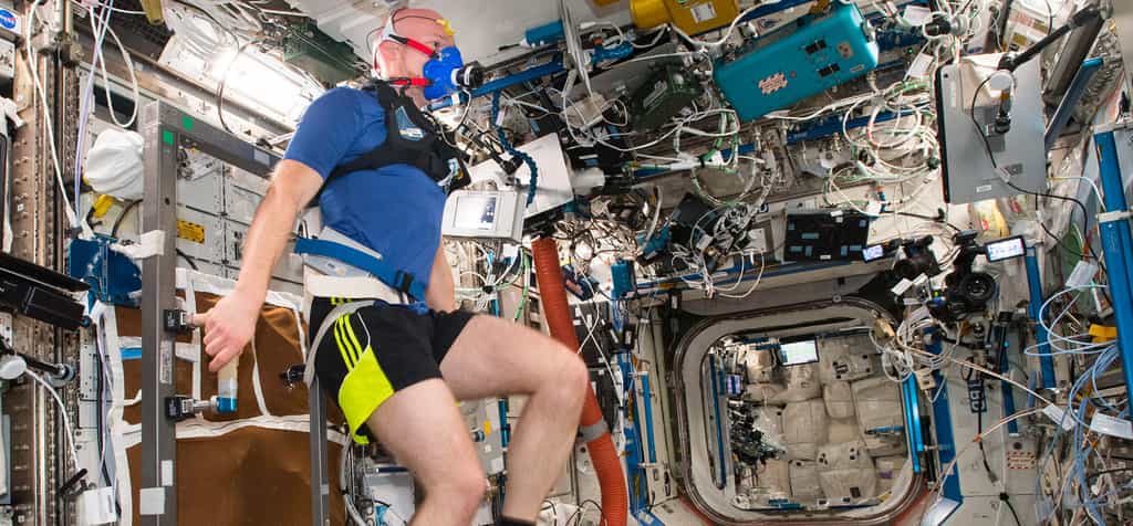 L'astronaute européen, de nationalité allemande, Alexander Gerst, à bord de la Station spatiale internationale (août 2018). © ESA, Nasa