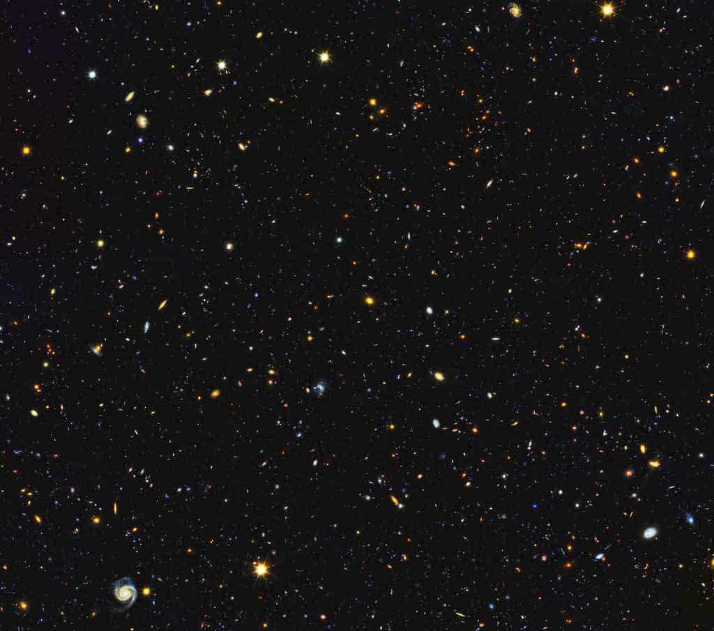 Les galaxies foisonnent dans cette image composite du projet HDUV (Hubble Deep UV). Une petite fenêtre ouverte sur l’univers. © Nasa, ESA, P. Oesch (University of Geneva), M. Montes (University of New South Wales)