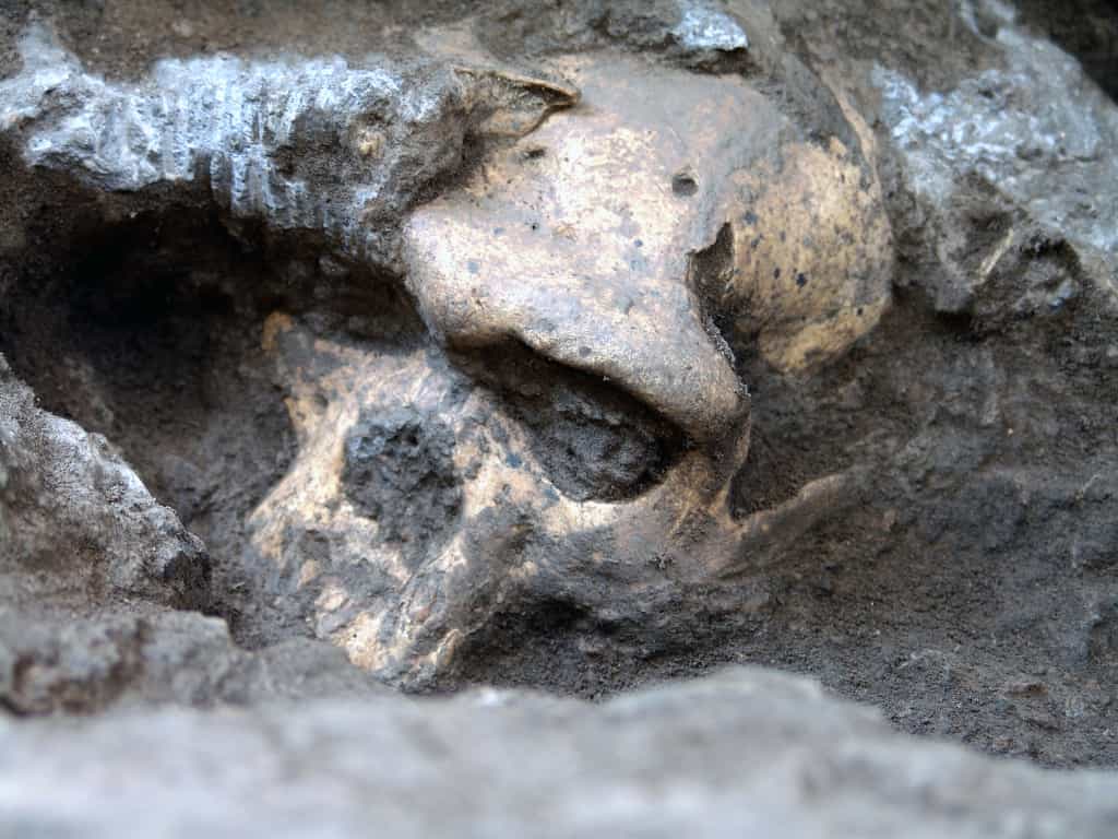 Le site archéologique&nbsp;de Dmanisi, où le crâne Skull 5&nbsp;a été trouvé (à l'image), est situé à 75 km de la capitale géorgienne&nbsp;Tbilissi. Des fouilles y sont menées depuis les années 1960.&nbsp;©&nbsp;Muséum national géorgien