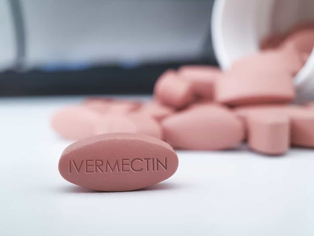 Ivermectine : médicament contre des maladies parasitaires tropicales et la gale. © Soni's, Adobe Stock