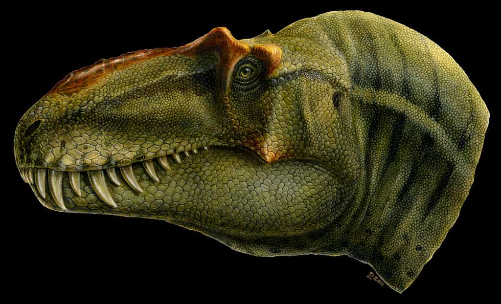 Le théropode Lythronax argestes a vécu voici 80 millions d'années dans les environnements côtiers subtropicaux de l'île-continent Laramidia. Ce dinosaure bipède y était très certainement un superprédateur. © Lukas Panzarin