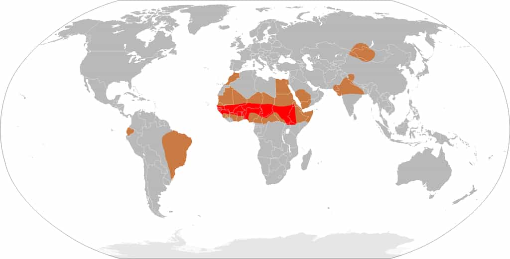 La méningite à méningocoque dans le monde. En rouge : ceinture de la méningite. En marron : zone épidémique. En gris : zone avec cas sporadiques. © Leevanjackson, dérivé de CIA World Factbook, Wikipedia, DP