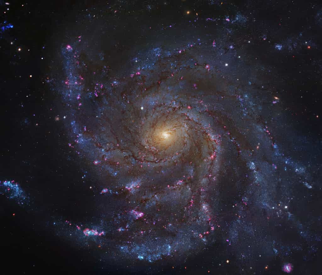 Cette photographie montre la galaxie spirale Messier M101, également appelée galaxie du Moulinet. C'est une galaxie spirale située dans la Grande Ourse et distante d'environ 22,8 millions d'années-lumière de la Voie lactée. Le diamètre de M101 est 70 % plus grand que celui de la Voie lactée. © Nasa