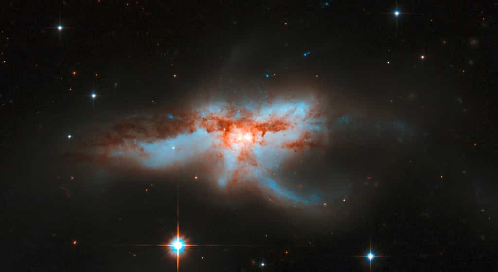 NGC 6240 est une galaxie irrégulière, en forme de papillon ou de homard, composée de deux plus petites galaxies. Le processus de fusion, qui a débuté il y a environ 30 millions d'années, a déclenché une formation spectaculaire d'étoiles et de nombreuses explosions de supernova. La fusion sera complète dans quelques dizaines à quelques centaines de millions d'années. © Nasa, ESA, the Hubble Heritage (STScI-Aura)-ESA-Hubble Collaboration, et A. Evans (University of Virginia, Charlottesville-NRAO-Stony Brook University) 