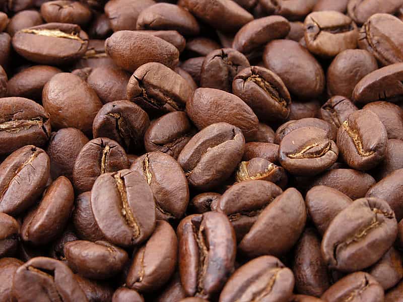 La séquence du caféier qui produit le robusta a été séquencée. © MarkSweep, Wikimedia Commons, DP