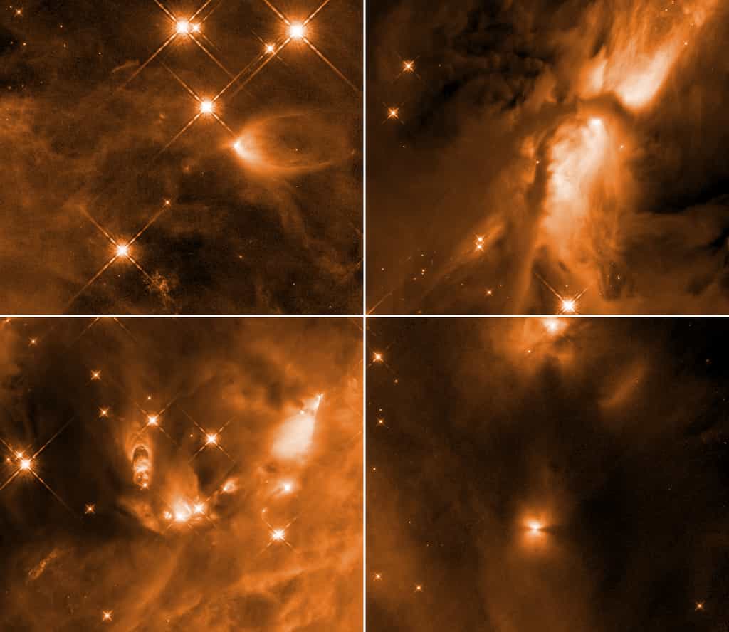 Des chercheurs de l’université de Toledo (États-Unis) ont étudié des étoiles naissantes dans le complexe d’Orion. Selon eux, un processus encore inconnu intervient pour stopper la croissance des protoétoiles. © Nasa , ESA , STScI , N. Habel, S. T. Megeath (Université de Tolède)