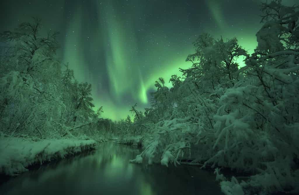 Sublimes aurores au bord de la rivière Lomaas, en Norvège