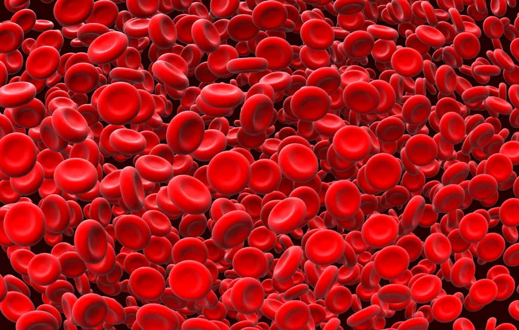 La thrombolyse est une procédure médicale importante pour dissoudre les caillots sanguins et traiter une variété de maladies © Artemida-psy, Adobe Stock