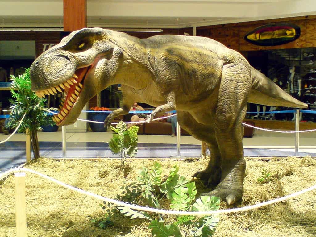 Le tyrannosaure (ici une maquette) était à l’occasion cannibale, comme l’ont montré des traces de morsures sur les os de l’un de ses semblables. L’observation vient en confirmer une autre et le tyrannosaure ne semblait pas être le seul dinosaure dans ce cas. © Rachmaninoff, licence CC BY-SA 3.0