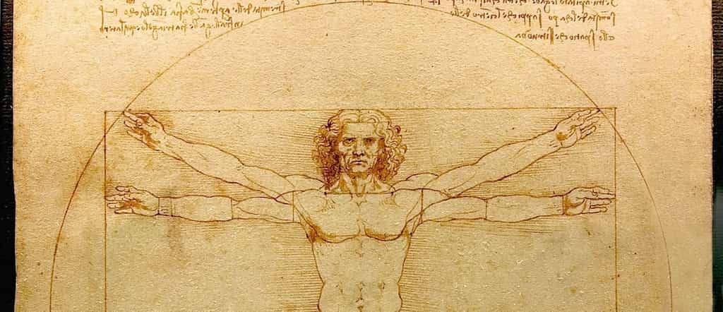 L'Homme de Vitruve par Léonard de Vinci. © DP, Luc Viatour