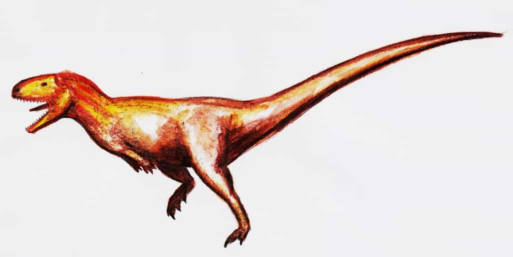 Des restes d'un dinosaure proche de l'abélisaure, ici représenté, ont été retrouvés au nord-oeust de l'Arabie Saoudite, en compagnie de vertèbres d'un titanosaure, géant de 20 m de long. © Theropod1, deviantart.com, cc by nc nd 3.0