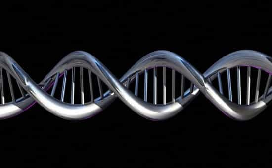 La technique TGV (Tale‐mediated Genome Visualization) est basée sur l'utilisation&nbsp;de protéines de liaison TALE&nbsp;à ADN&nbsp;artificiel,&nbsp;capables de cibler une séquence génétique spécifique. © Spooky Pooka, Wellcome Images, cc by nc nd 2.0