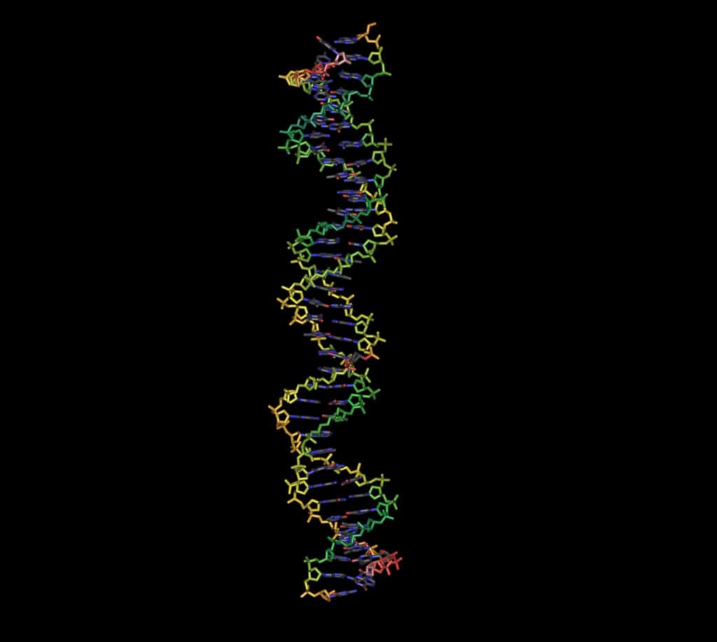 Le séquençage complet du génome humain a été achevé en 2003. Depuis, grâce à l'amélioration des techniques, il en coûte de moins en moins de temps et d'argent. Ainsi, avant même d'être nés, les bébés pourraient déjà avoir subi un test ADN. © Yunxiang987, StockFreeImages.com