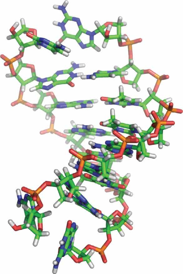 L'ATN a été découvert pour la première fois en 2000. Depuis cette époque, on considère qu'il figure parmi les précurseurs plausibles des molécules supportant l'information génétique dans nos cellules. Il faudra encore d'autres investigations pour préciser si oui ou non, il est l'ancêtre de l'ARN et de l'ADN. © Yu et al., Nature Chemistry