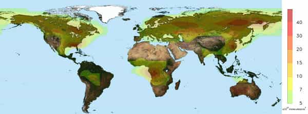 Cette distribution de l'acide formique (en jaune) fut établie grâce à l'utilisation d'un satellite. Les valeurs observées dans l'hémisphère nord sont importantes, d'autant plus que les mesures ont été prises en juillet, c'est-à-dire durant la période de croissance des végétaux. © IASB