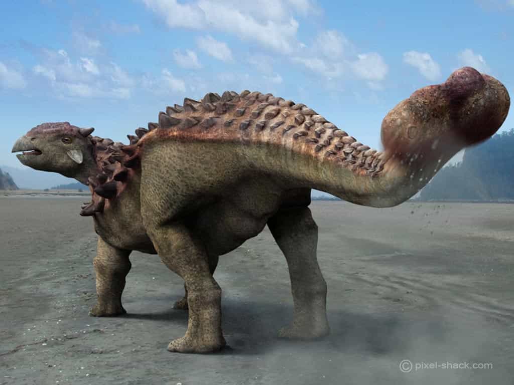 Ankylosaurus. © Courtesy of Jon Hugues, www.pixel-shack.com