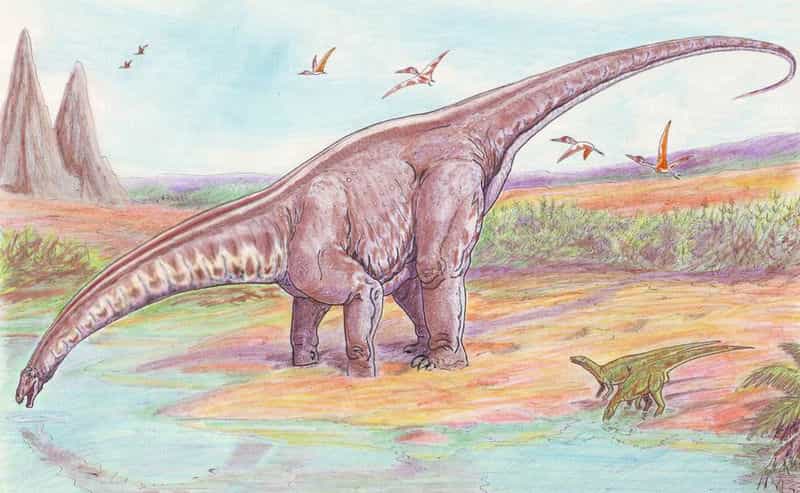 Représentation moderne d'un apatosaure. L'espèce modèle pour laquelle les émissions annuelles de méthane ont été calculées,&nbsp;Apatosaurus louisæ,&nbsp;a vécu il y a 154 à 150 millions d'années, durant le Jurassique supérieur.&nbsp;© Wikimedia common, DP