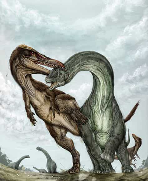 Austroraptor cabazai en pleine action. Crédit F. Novas