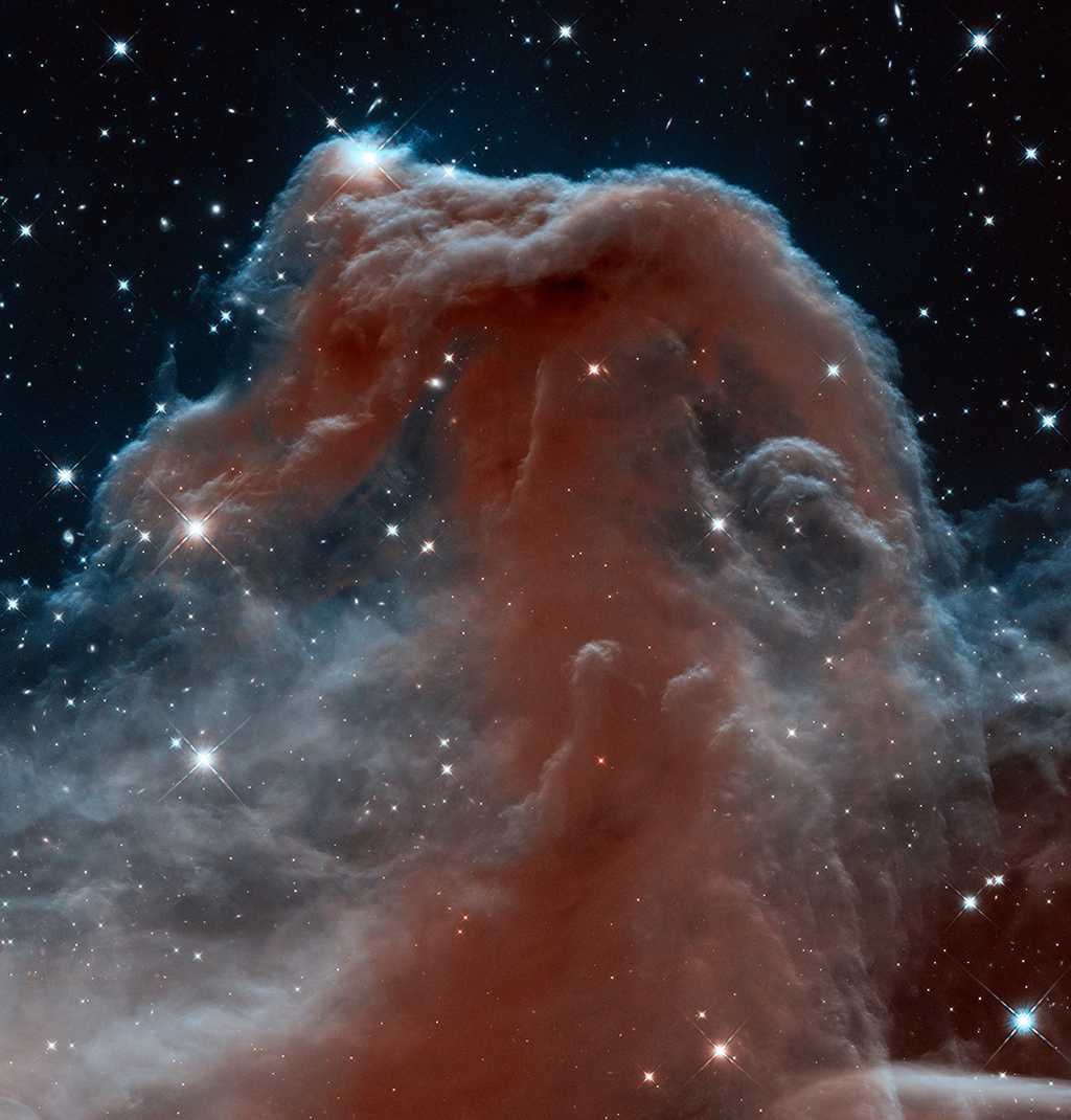 Barnard 33, la nébuleuse de la Tête de cheval, revisitée ici en infrarouge par la caméra WFC3 à l'occasion des 23 ans du télescope spatial américain Hubble. © Nasa, Esa,&nbsp;Hubble heritage team,&nbsp;STScI/Aura