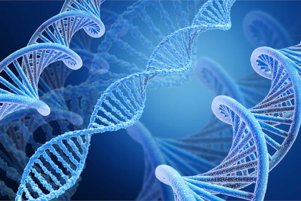 Les scientifiques ont utilisé la méthode CRISPR/Cas9 pour créer des lésions sur de l'ADN double-brin. © BillionPhotos.com, Adobe Stock
