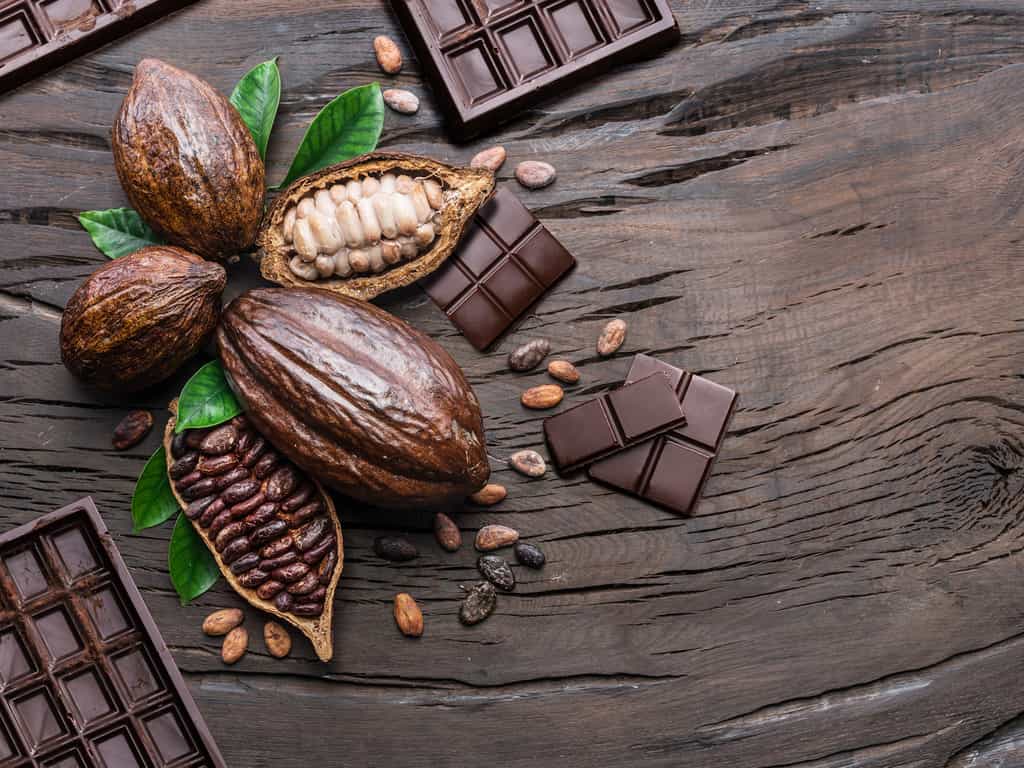 Nestlé a mis au point un chocolat sans sucre ajouté à partir de l’enveloppe blanche entourant les fèves de cacao. © volff - Fotolia