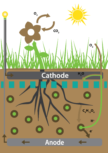 Les sucres (C6H12O6) produits par la photosynthèse sont dégradés par les micro-organismes présents dans le sol, qui produisent du CO2, des protons (H+) et des électrons (e-) captés par l'anode, générant ainsi un courant électrique. © ESA