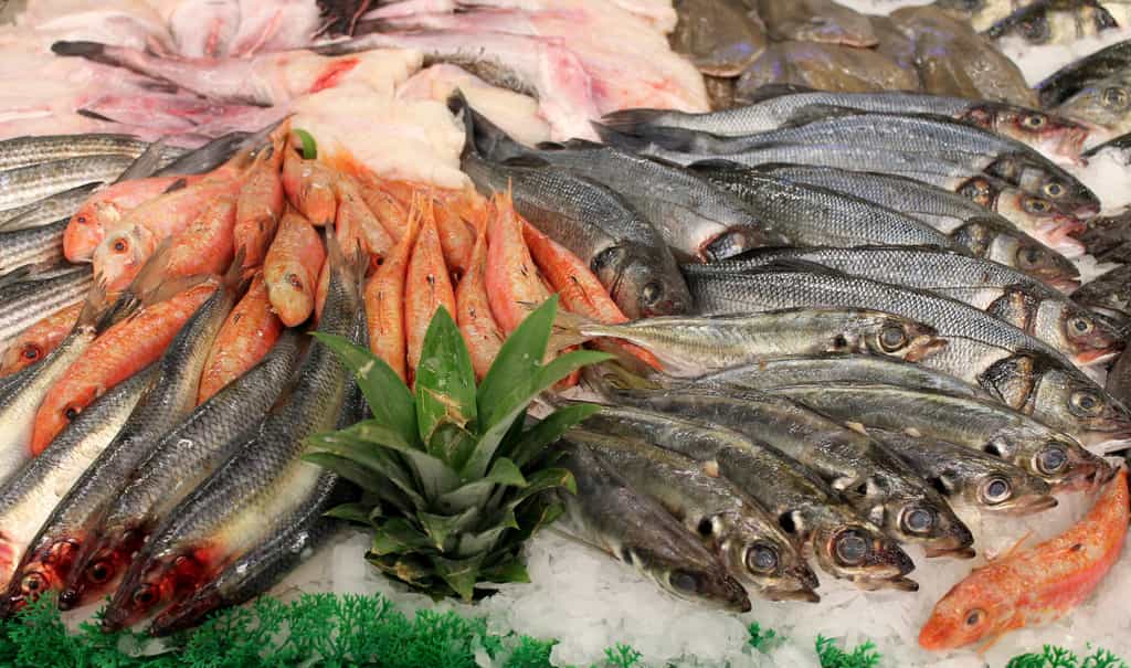 Les poissons que nous achetons sont largement issus de la pêche non durable. © gribouilleeva, Fotolia