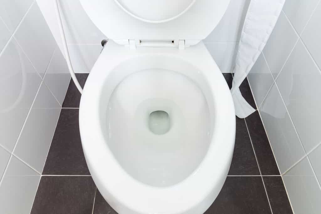 L’eau des toilettes, révélatrice du statut social. © trainman111, Adobe Stock