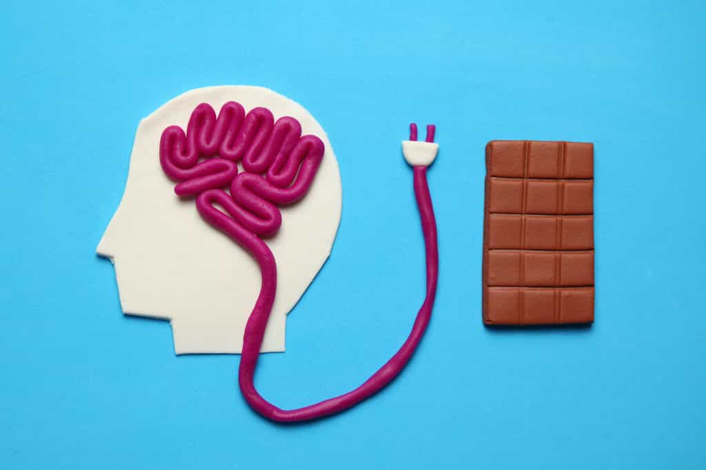 Le cerveau mémorise en priorité l’emplacement de la nourriture riche en calorie. © Andrii Zastrozhnov, Adobe Stock