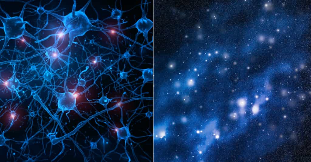La structure du cerveau ressemble à celle de l’Univers. © onimate, AnneLeven, Adobe Stock