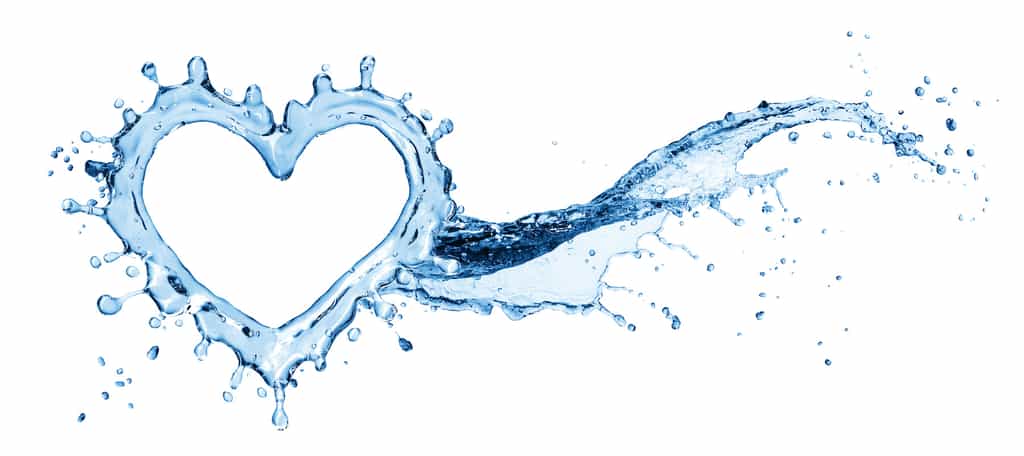 Boire suffisamment d’eau aide à prévenir les troubles cardiovasculaires. © lotus_studio, Adobe Stock