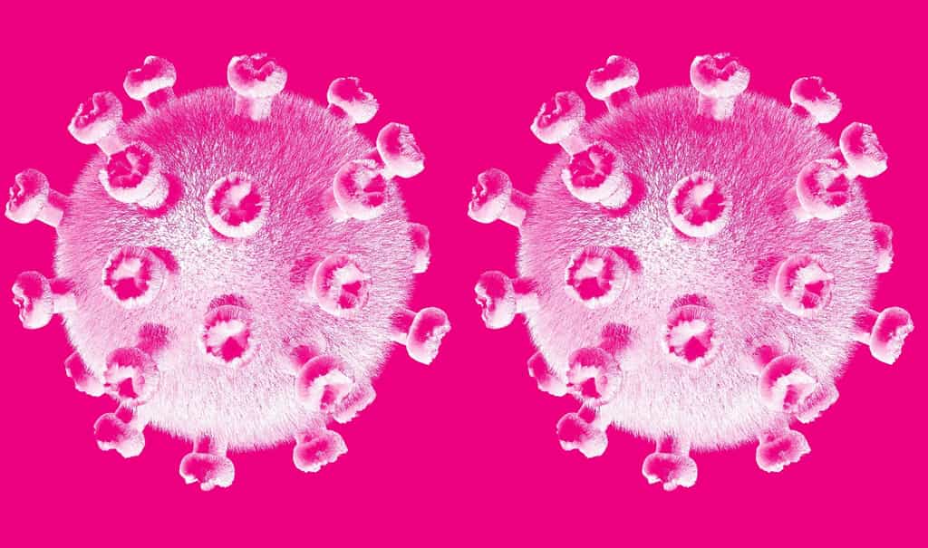 Le coronavirus du SARS-CoV-2 est possiblement le résultat d'une recombinaison de deux autres coronavirus.&nbsp;© cromaconceptovisual, Pixabay