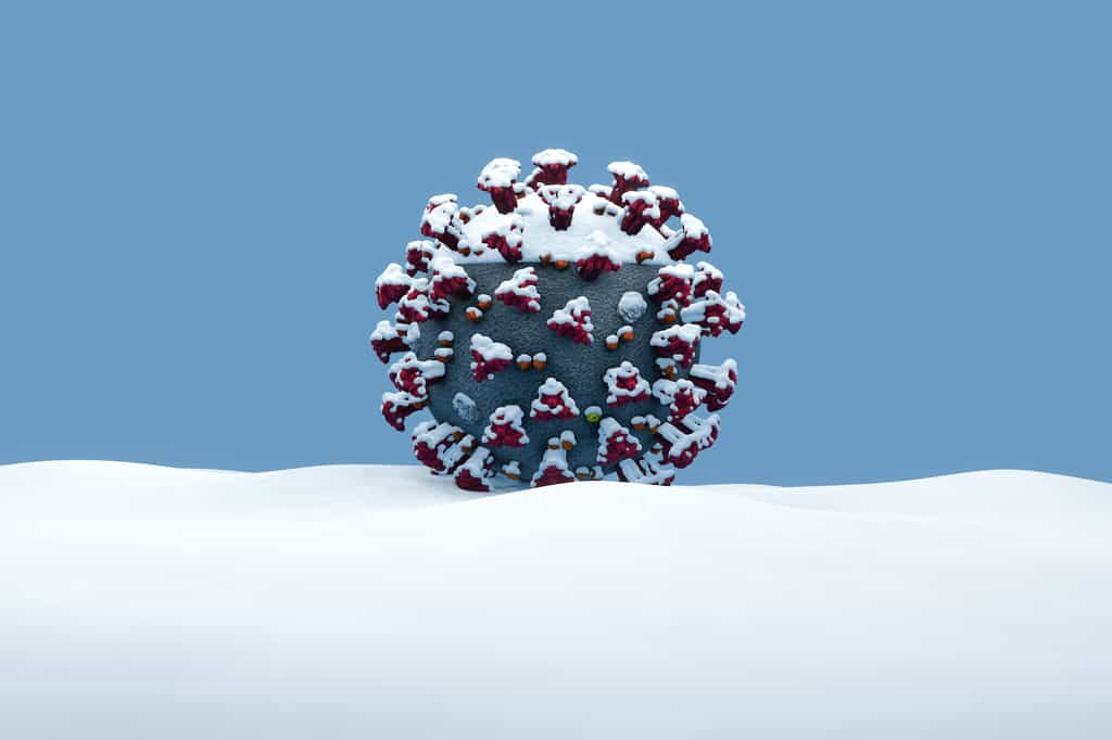 Les galectines, situées sur la protéine de pointe du virus Sars-CoV-2, seraient les principales responsables de son comportement saisonnier. © Stephen Davies, Adobe Stock