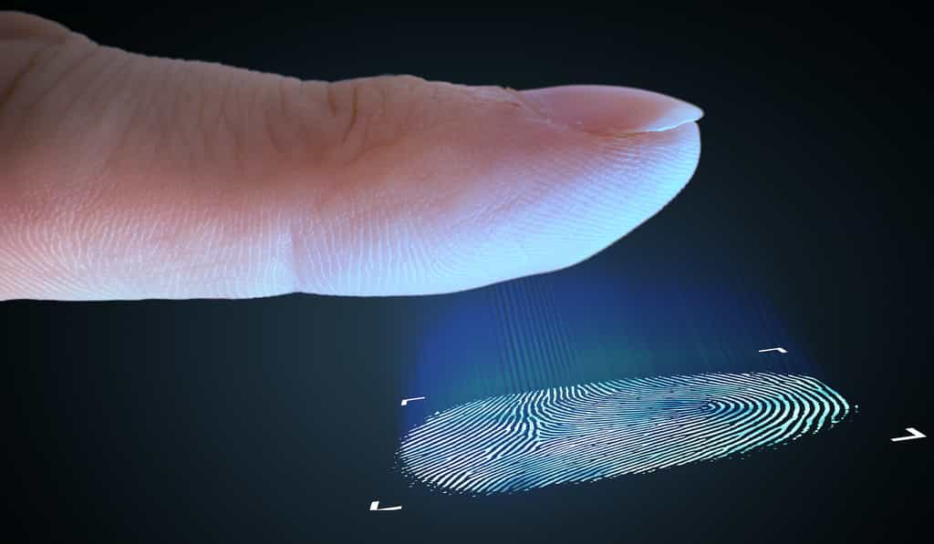 Les empreintes digitales sont utilisées comme outil biométrique dans de nombreux domaines. © vchalup, Adobe Stock