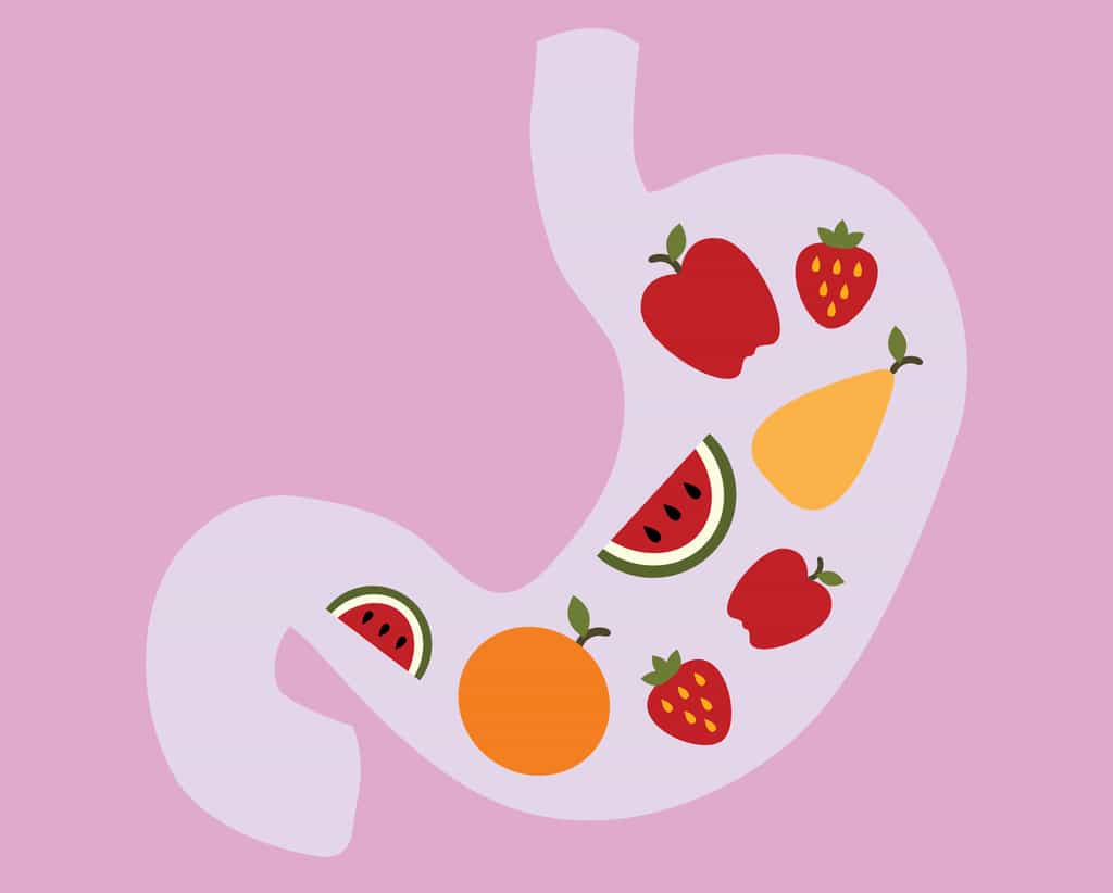 Les fibres contenues dans les légumes, les fruits et les céréales nourrissent les « bonnes » bactéries de l’intestin. © leszekglasner, Adobe Stock