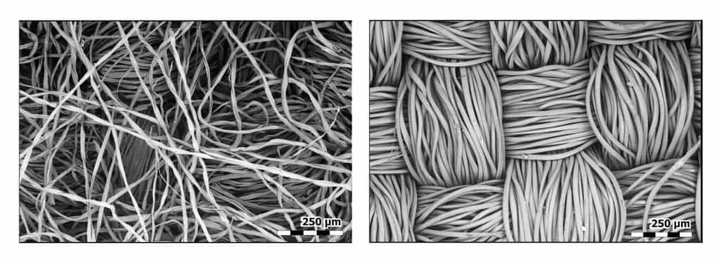 La fibre de coton (à gauche) absorbe l’humidité, ce qui accroît la taille des particules virales et les bloque plus efficacement. Le polyester (à droite) est hydrophobe et ne possède pas cette propriété. © E.P. Vicenzi, Smithsonian's Museum Conservation Institute et NistLes National Institutes of Health (NIH)