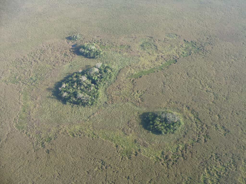 Ces îlots forestiers constituent des zones de culture il y a 10.000 ans. © Umberto Lombardo