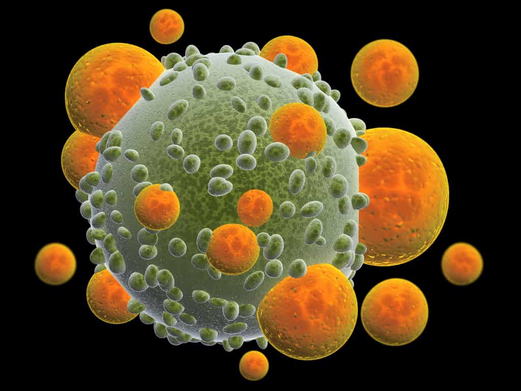 Les lymphocytes T sont un type de globules blancs qui jouent un rôle crucial dans le système immunitaire. © frenta, Adobe Stock