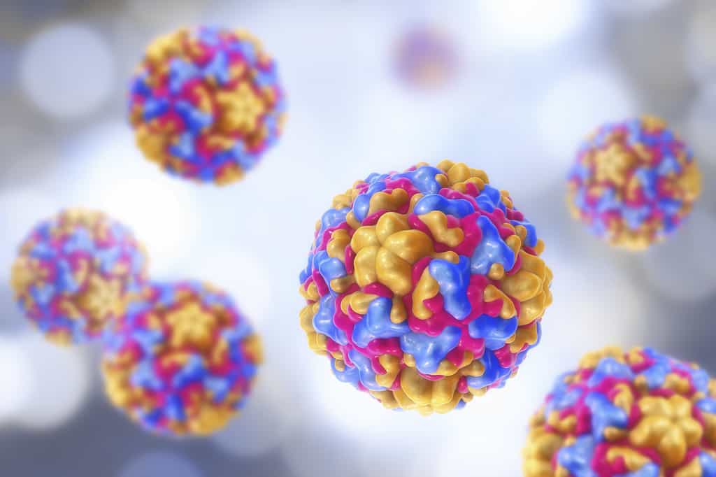 Il existe plus de 160 sortes de rhinovirus, responsables du rhume. © Kateryna_Kon, Adobe Stock