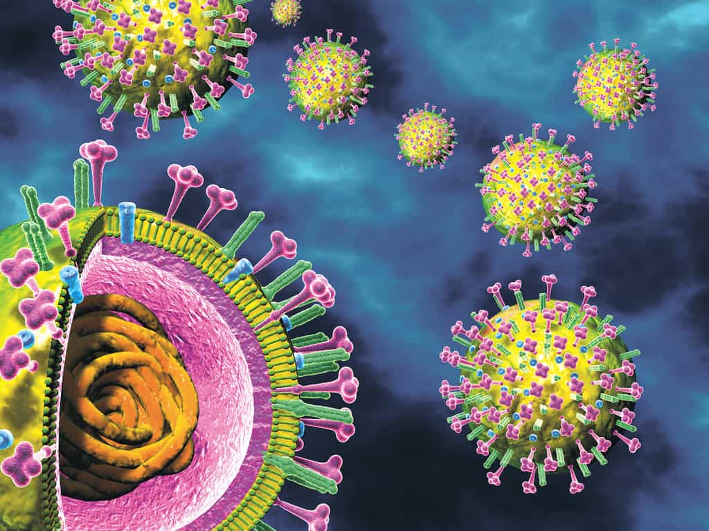 Illustration en 3D d'un virus influenza. © Axel Kock, Adobe Stock